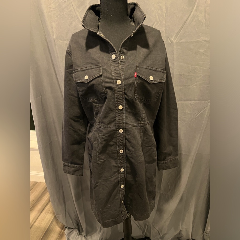 Levi’s Gia Western Dress